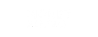 money 2020 finavator logo